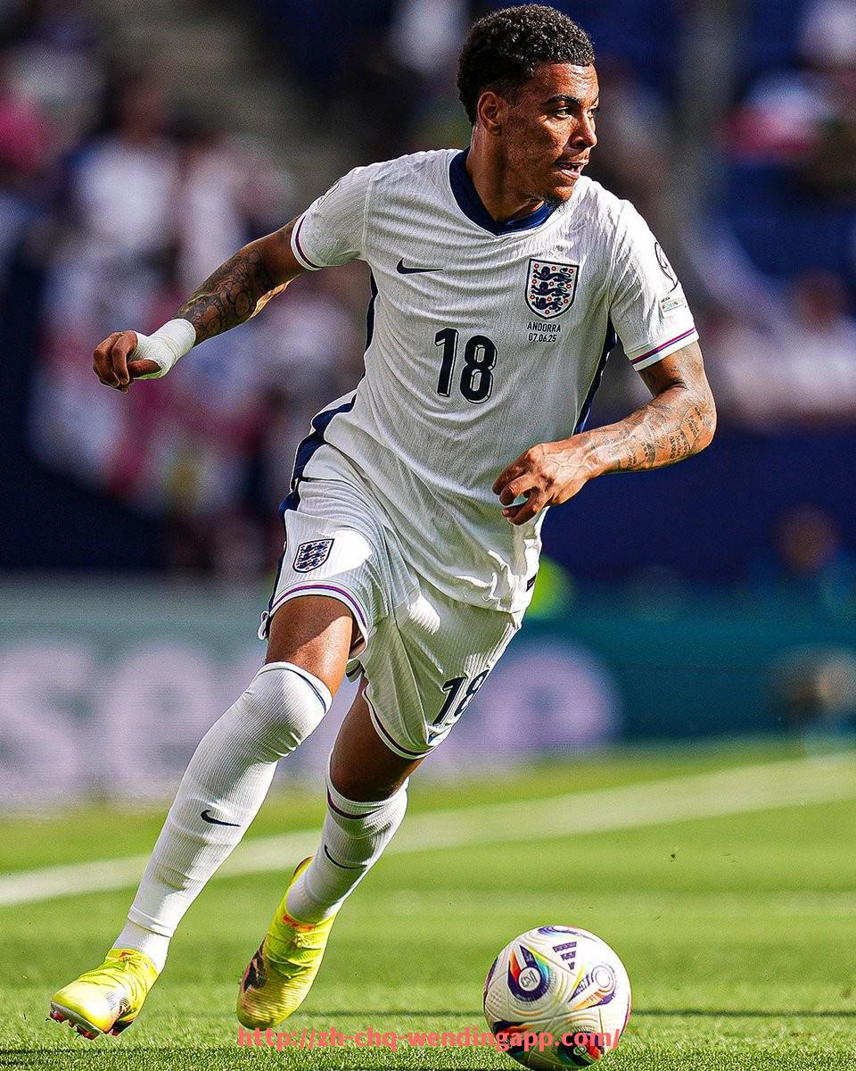 问鼎娱乐官网-世俱杯内容偏好标签聚类模型构建与推荐策略